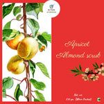 Thumbnail for Nxtgen Ayurveda Apricot Almond Scrub