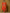 Yufta Orange Silk Embroidered Plus Size Kurta Dupatta Set