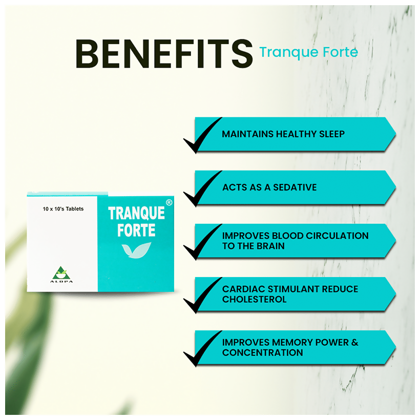 download - 2025-08-12T112456.171