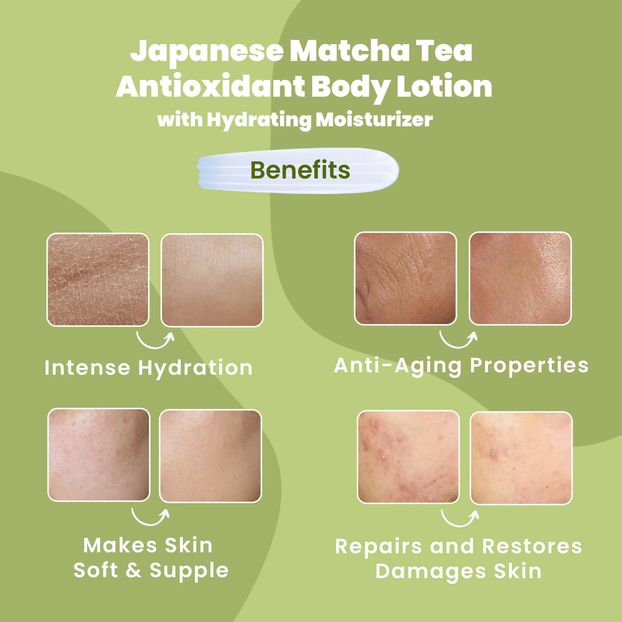 Wild Oak Japanese Matcha Tea Body Lotion - Distacart