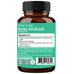 Thumbnail for Minature Barlay Grass Tablet