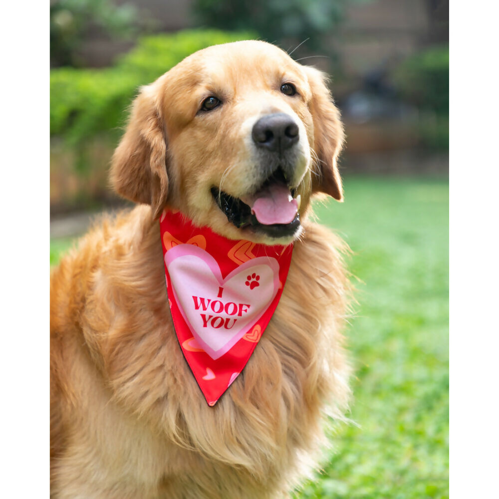 Waggety Dog Bandana - I Woof You, Soft Fabric, Stylish Pet Accessory for Dogs - Red - Dista