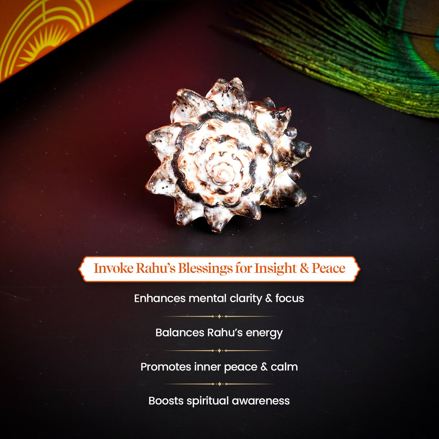 Pujashree Rahu Shankh – Spiritual Conch for Rahu Dosha Relief & Puja - Dista
