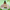 download (27)-Photoroom