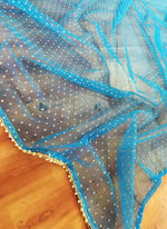 Thumbnail for Aastha Fashion Women's Blue Thread Embroidery Georgette Designer Lehenga Choli with Dupatta - Distacart