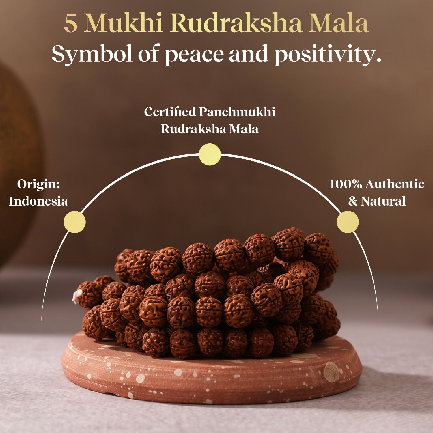 Pujashree Rudraksh Mala Large – Traditional Prayer Mala for Spiritual Healing, Chanting & Devotion - Dista
