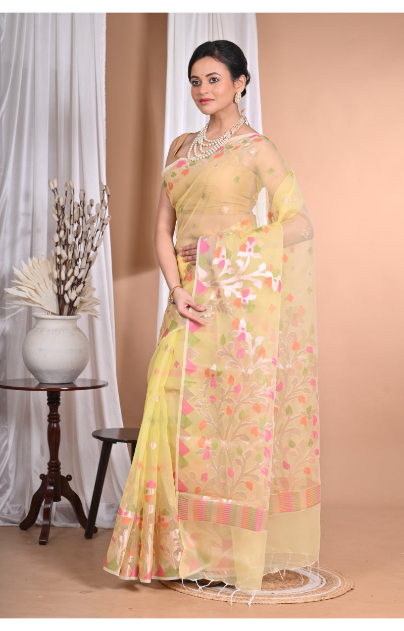 Product Image-2
