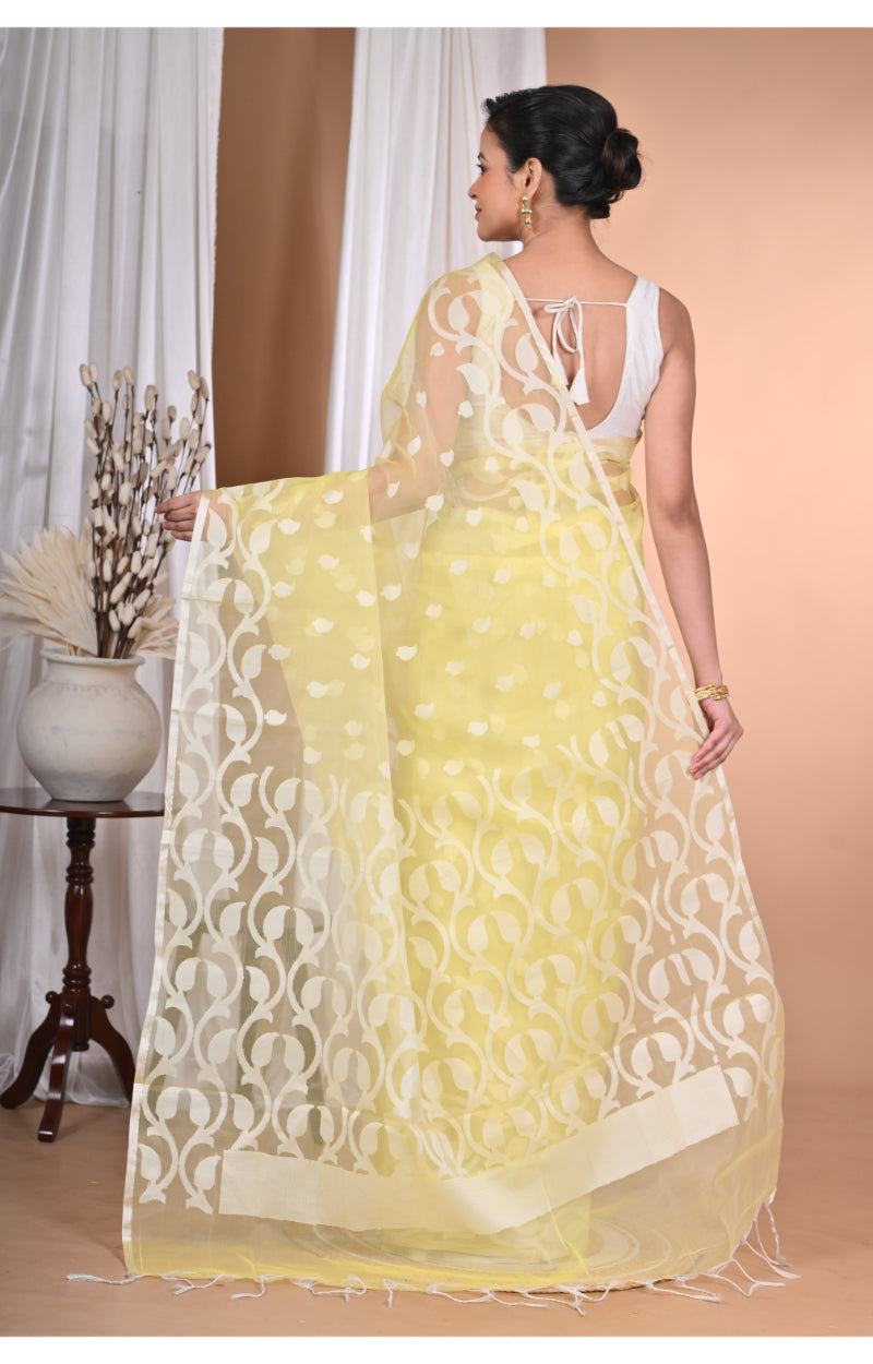 Product Image-3