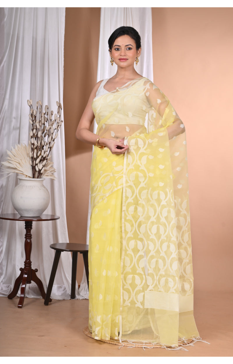 Product Image-2