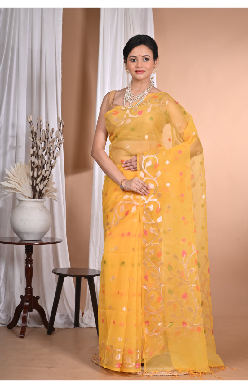 Product Image-2