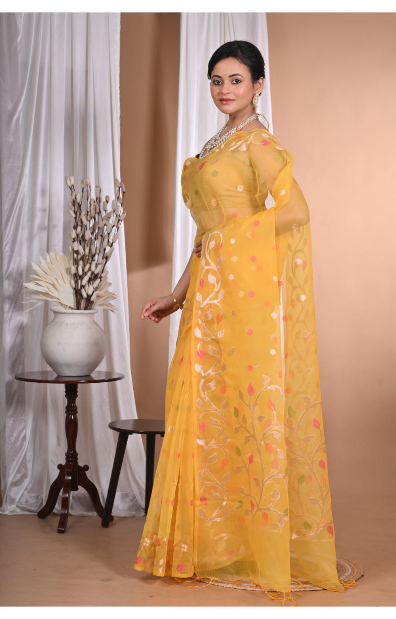 Product Image-0
