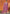 Vegaa Fashion Pink Silk Blend Embroidered Designer Salwar Suit