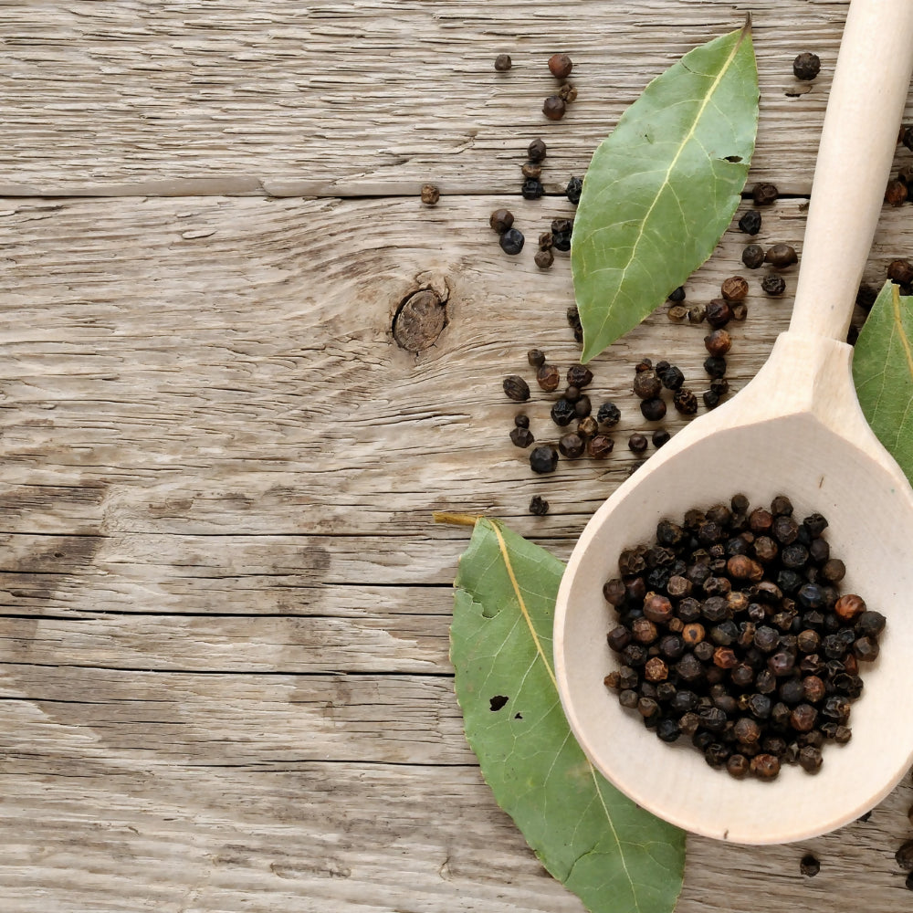 Oilcure Black Pepper Essential Oil