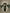 Jyoti Fashion Women's Dark Green Cotton Blend Embroidery & Sequence work Kurta with Trouser & Dupatta - Distacart
