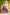 DEIANA'S Jacquard With Jari Lining With Print Lehenga Choli - Navy Blue