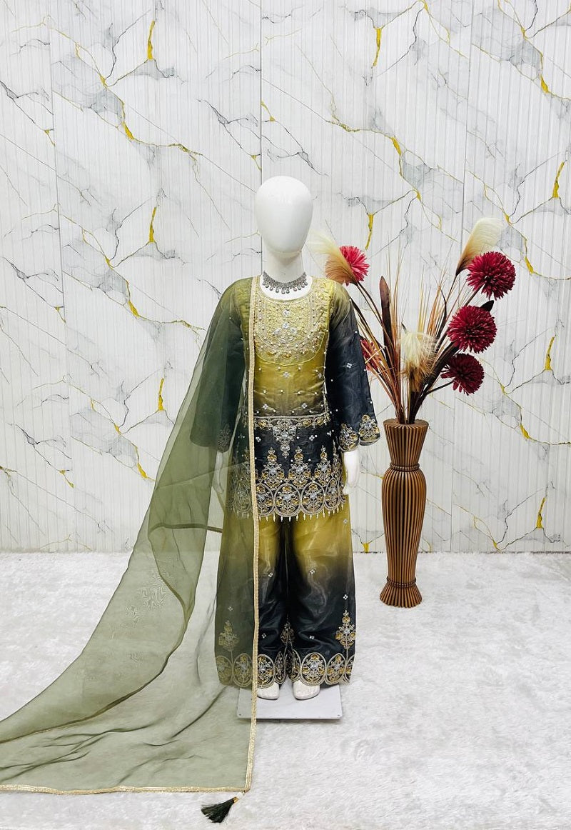 Evanik Kids Multicolor Heavy Silk Embroidered Work Salwar Suit - Dista