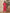 Yufta Pink Chanderi Silk Tie Dye Co-Ord Set