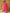 Yufta Pink Cotton Zari Work Straight Kurta Dupatta Set