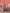 Yufta Pink Ethnic Motifs Cotton A-Line Kurta Trouser & Dupatta Set