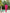Yufta Pink Polka Dot Print Top And Trouser Co Ord Set