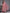 https://cdn.shopify.com/s/files/1/0341/4805/7228/files/pink-printed-cotton-anarkali-kurta-with-palazzos-and-dupatta-libas-3-27530575642774.jpg?v=1738559275