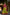 Evanik Pista South-style Kanchipuram silk lehenga With Unstitched Blouse & Dupatta