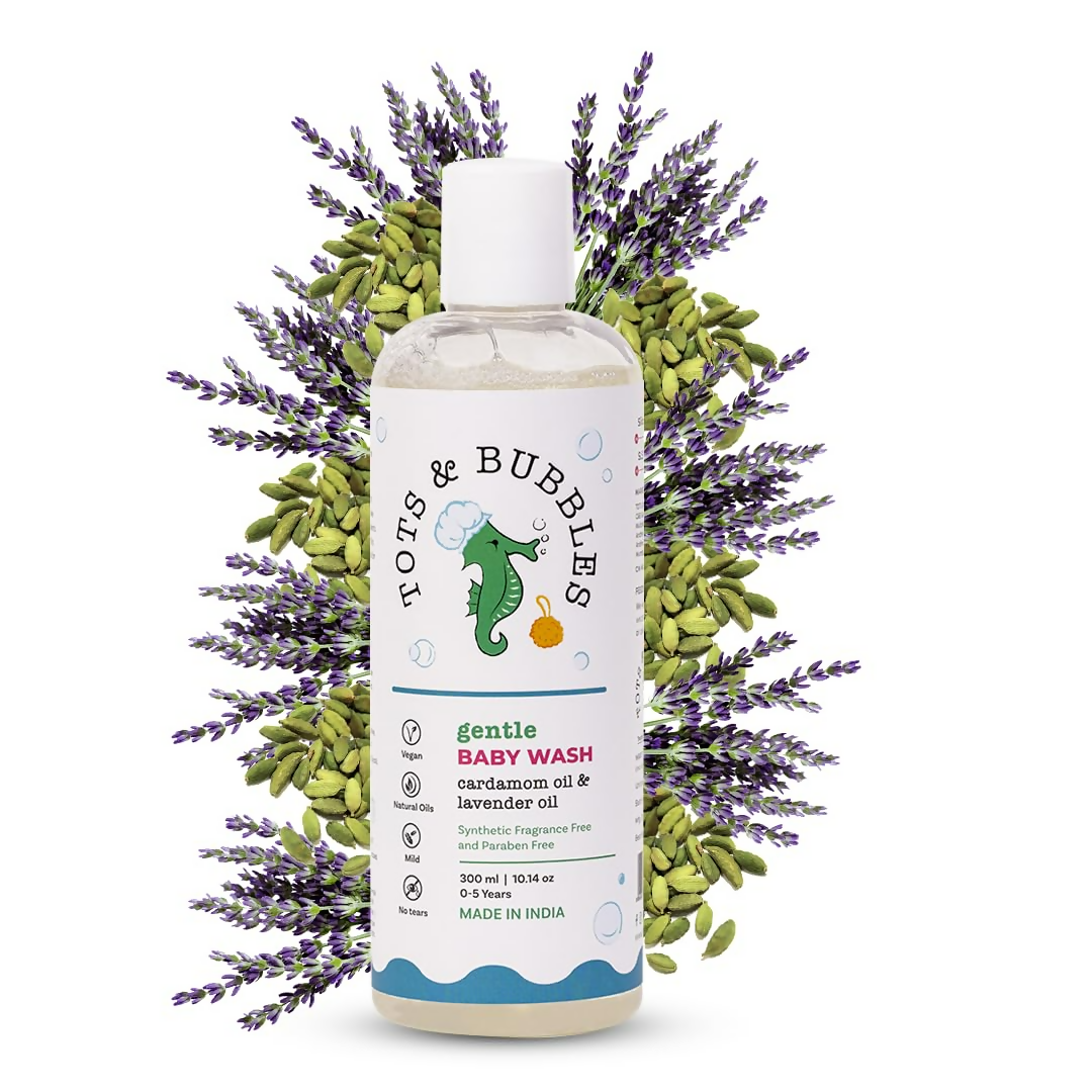 download - 2024-11-19T122920.267