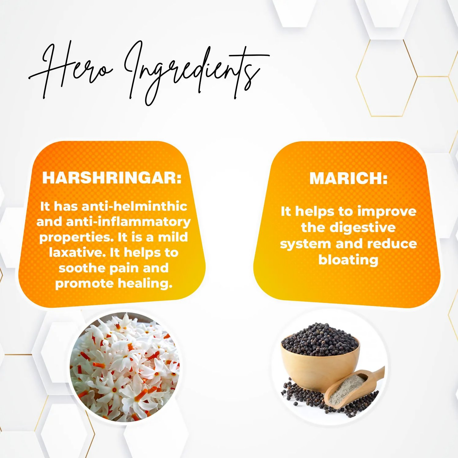 Rajasthan Herbals Piles Go Churna