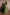 Jyoti Fashion Mesmerizing Green Sequins Embroidered Velvet Lehenga Choli with Dupatta - Distacart