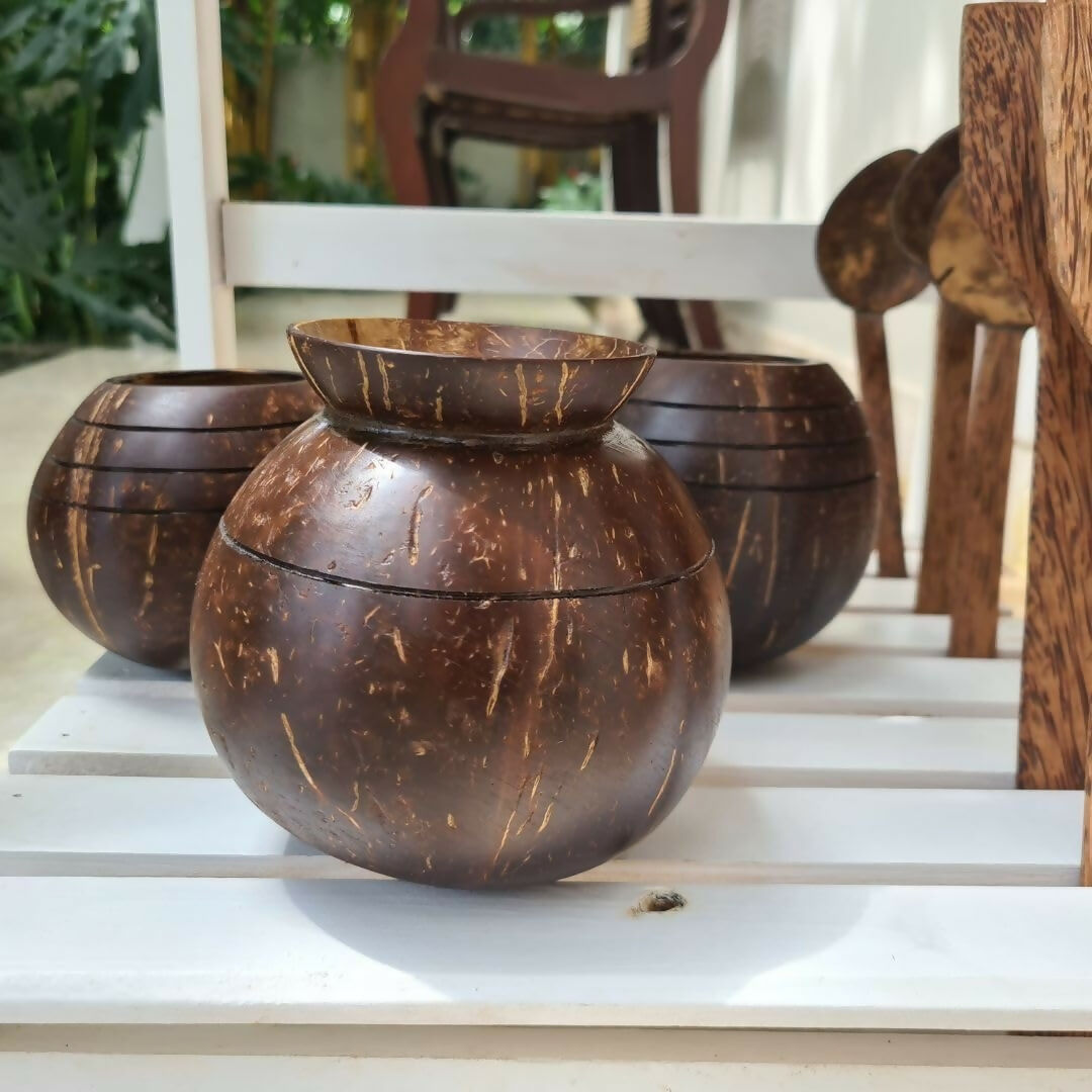 Thenga Handmade Coconut Shell Planter Pot with Cork Tray - Dista