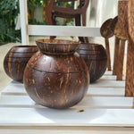 Thumbnail for Thenga Handmade Coconut Shell Planter Pot with Cork Tray - Dista