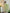 Yufta Pure Cotton Green Anarkali Kurta Dupatta Set With Lacework