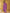 Yufta Purple Bandhani Cotton Straight Kurta Trouser & Dupatta Set