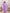 Yufta Purple Floral Cotton A-Line Suit Set