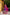 Evanik Purple South Style Kalamkari Print Design Zari Work Unstitched Lehenga Choli
