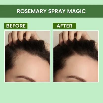 Alps Goodness Rosemary Revive Kit - Distacart
