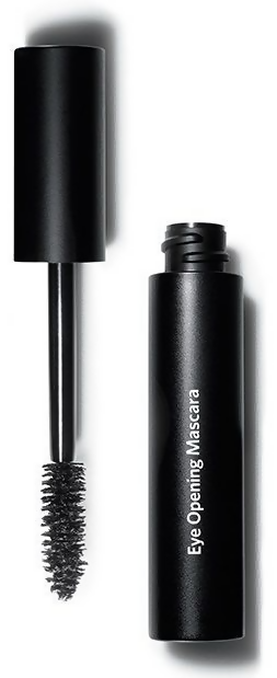 download - 2024-12-04T154122.900