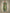 Jyoti Fashion Women's Dark Green Cotton Magic Slub Embroidery & Sequence work Kurta with Trouser & Dupatta - Distacart