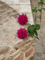 Thumbnail for Inhanns Small Statement Studs Earrings - Pink - Distacart