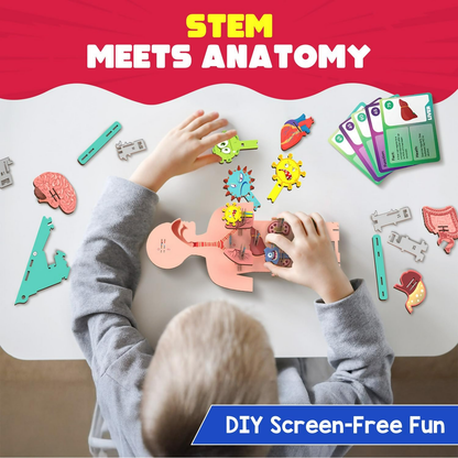 Smartivity Human Body Toy For Kids 6-12 Years Body Organs & Functions - Distacart