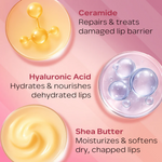 Thumbnail for Faces Canada Ceramide Care Lip Balm - Rose Candy 02 - Distacart