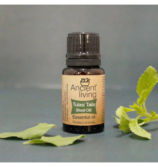 Ancient Living Tulasi Taila (Basil Oil) Essential Oil - Distacart