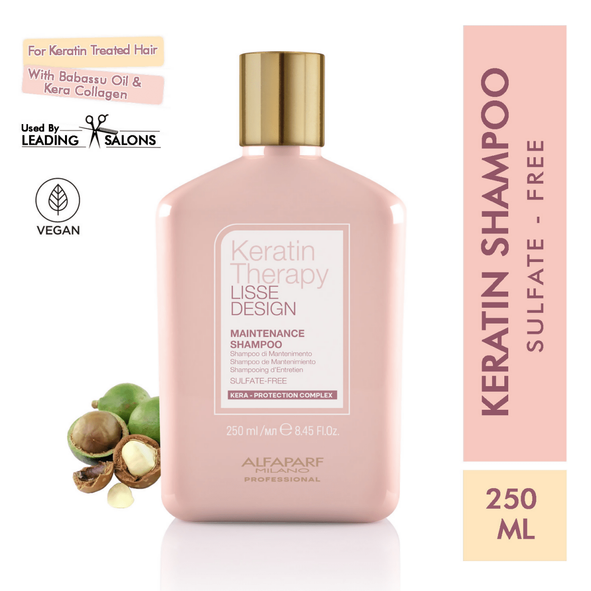 download - 2024-12-17T171609.073