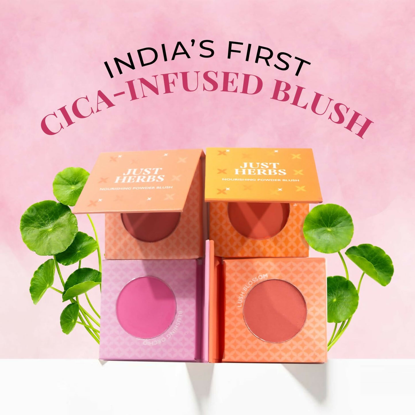 Just Herbs Nourishing Powder Blush - Lush Blossom - Distacart