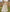 Aastha Fashion White Designer Wedding Wear Lehenga Choli
