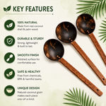 Thumbnail for Thenga Coconut Shell Ladles/Spoon Set - Dista