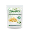 Yuvagrow Dried Ginger Slices - Distacart