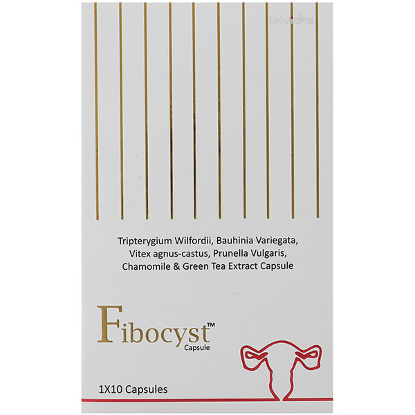 download - 2024-10-01T173341.531