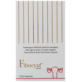 download - 2024-10-01T173341.531