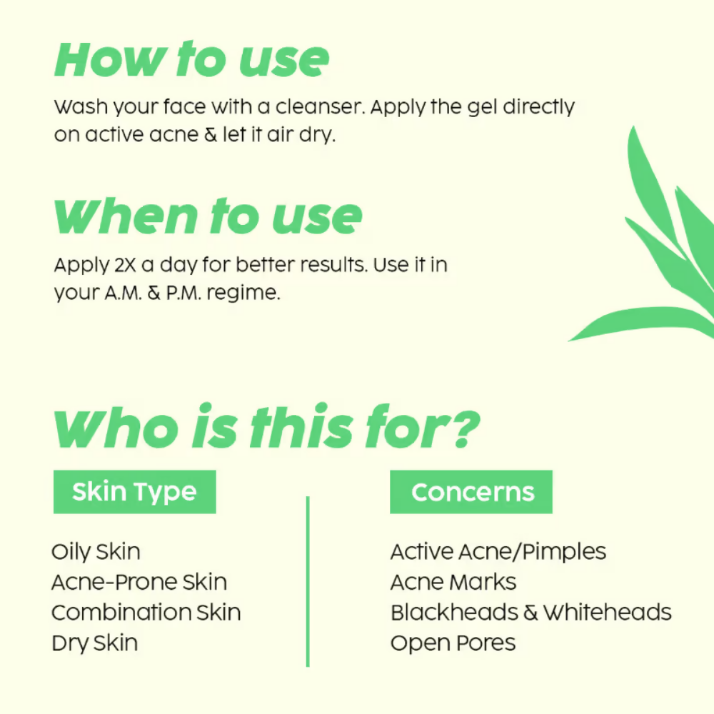 PLIX The Plant Fix Jamun Skincare Combo - Distacart